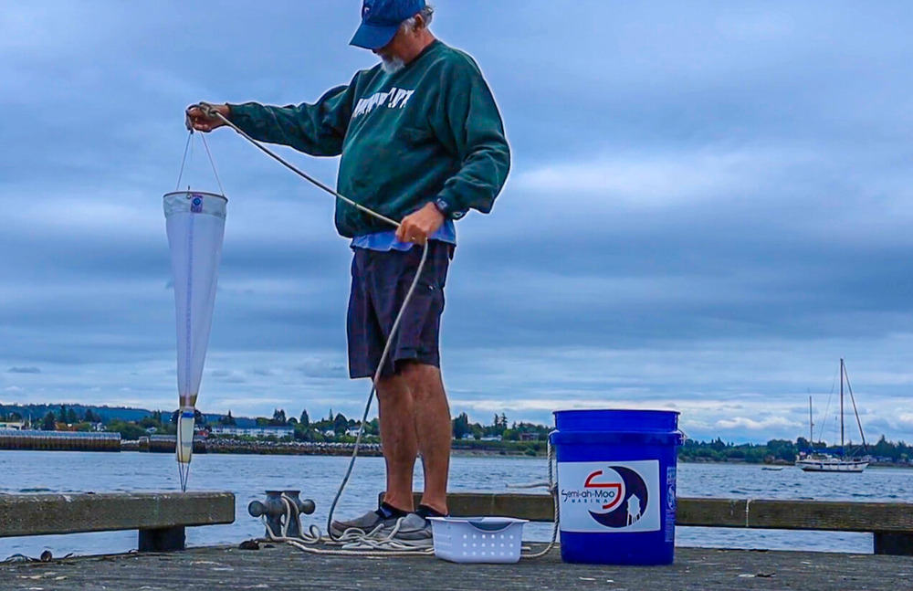 Citizen scientists monitor Birch Bay, Drayton Harbor for red tide